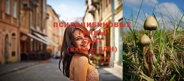 стафф Абинск