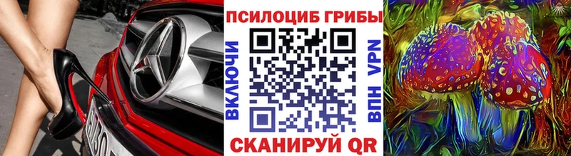 Псилоцибиновые грибы мицелий магазин продажи наркотиков Цивильск